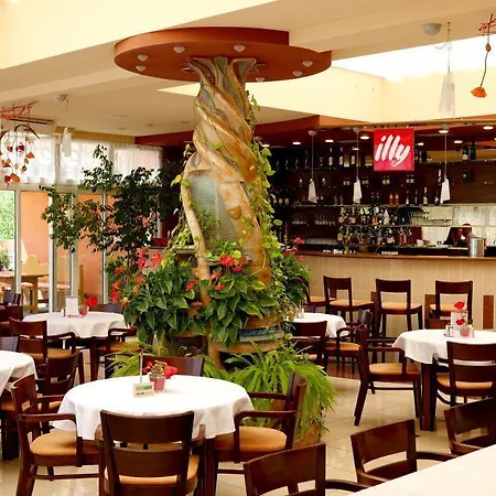 Hotel Baronka