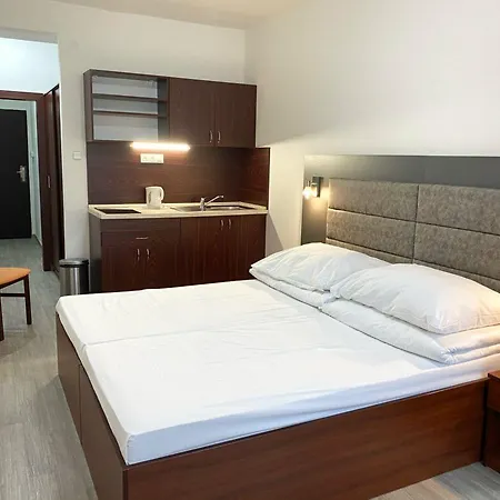 ホテル Baronka 4*